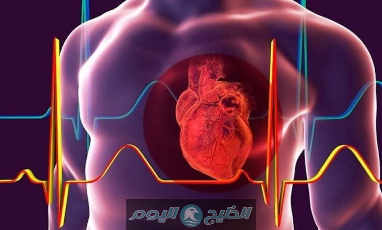 صورة توضح شكل القلب السليم